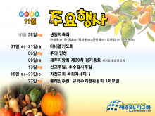 11월 주요일정